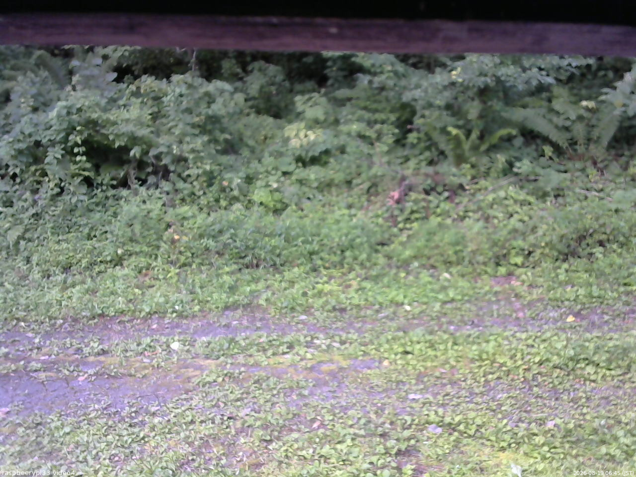 長野県菅平高原 ゆたか山荘 東側(坂下) 2026/08/19 06:45