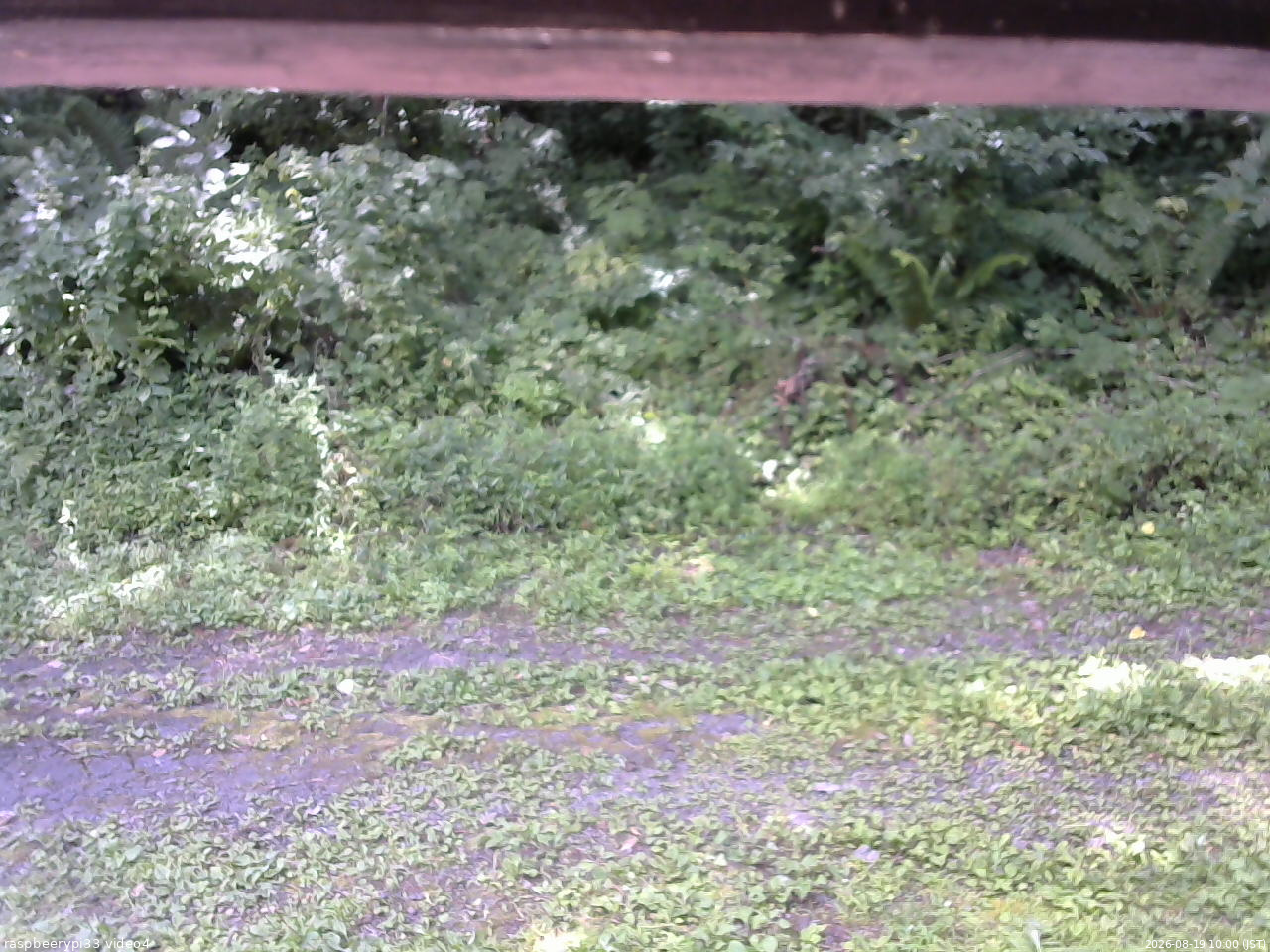 長野県菅平高原 ゆたか山荘 東側(坂下) 2026/08/19 10:00