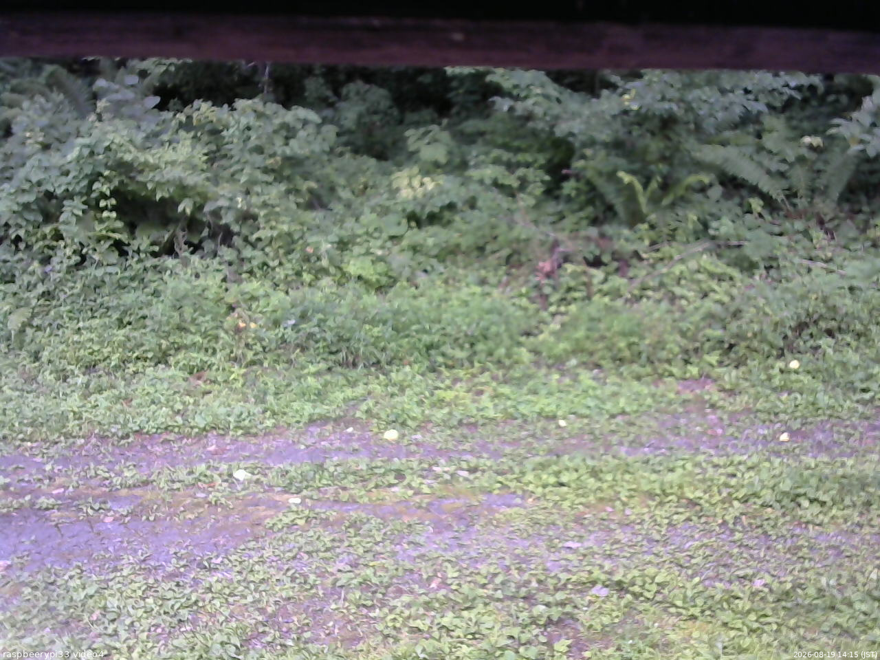長野県菅平高原 ゆたか山荘 東側(坂下) 2026/08/19 14:15