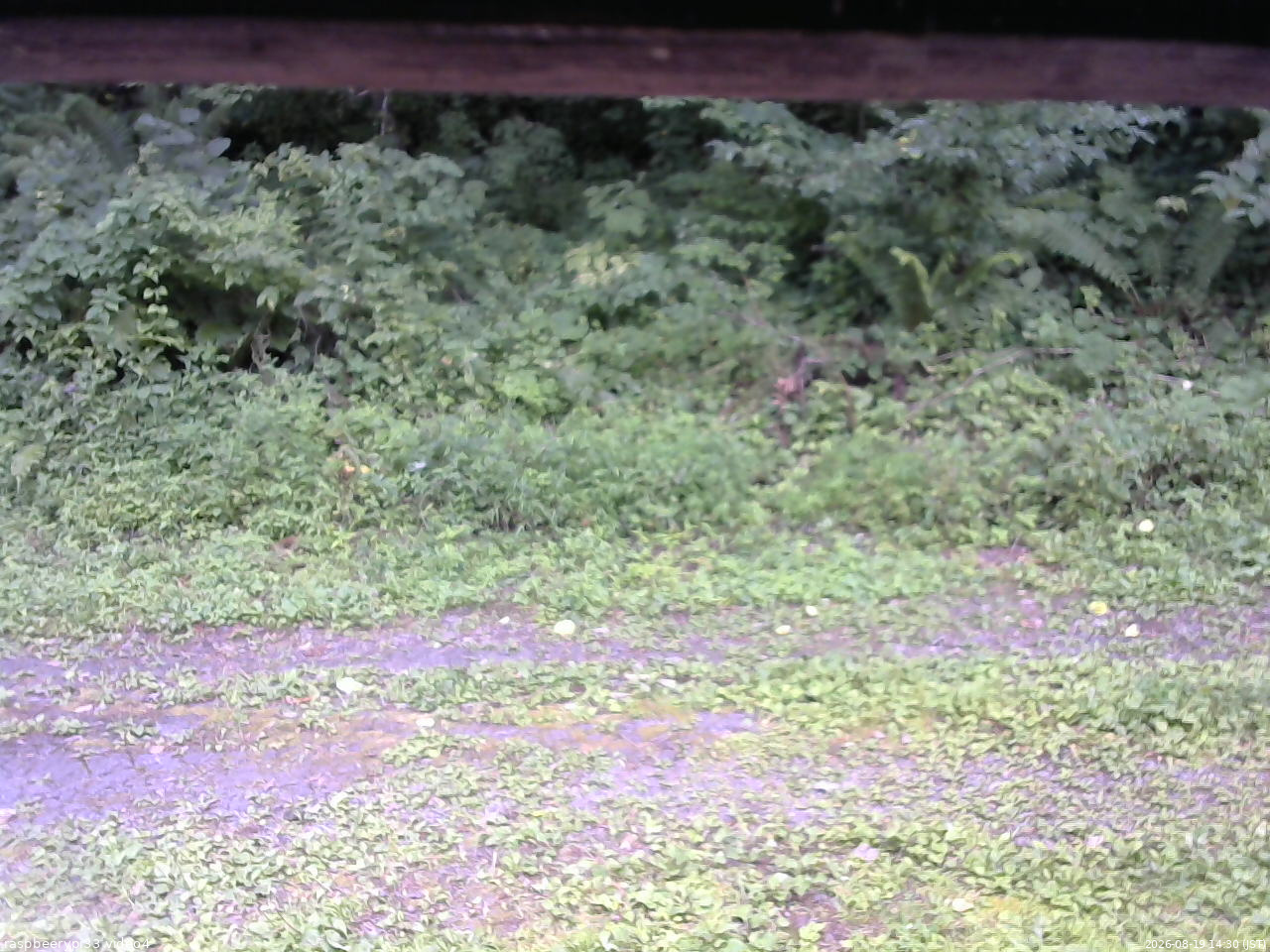長野県菅平高原 ゆたか山荘 東側(坂下) 2026/08/19 14:30