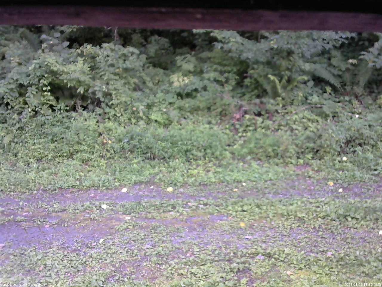 長野県菅平高原 ゆたか山荘 東側(坂下) 2026/08/19 15:30