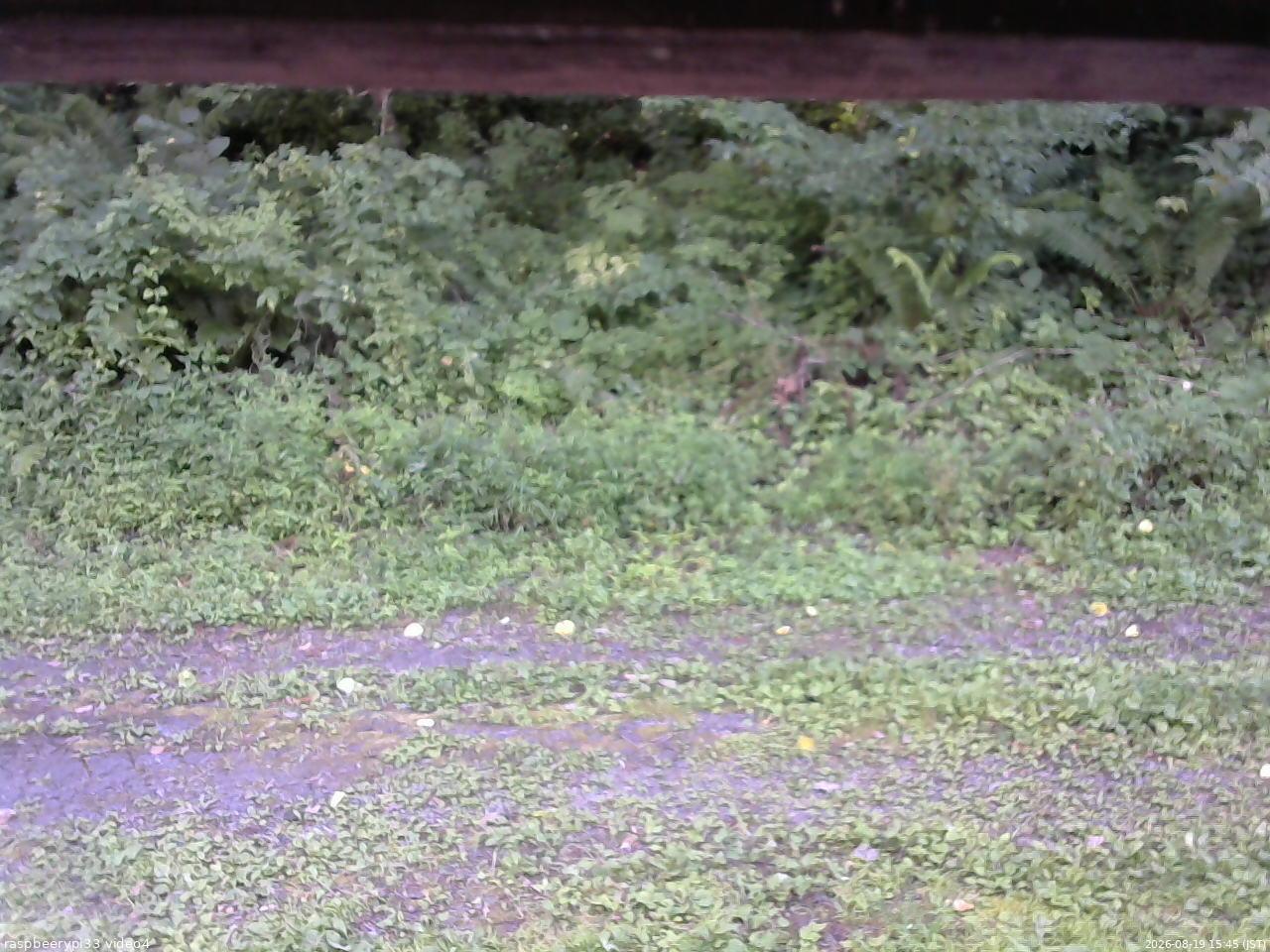 長野県菅平高原 ゆたか山荘 東側(坂下) 2026/08/19 15:45