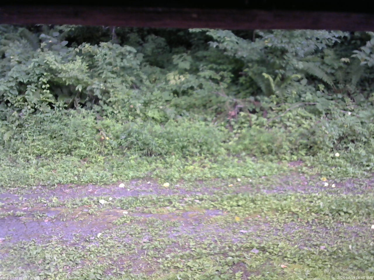 長野県菅平高原 ゆたか山荘 東側(坂下) 2026/08/19 16:45