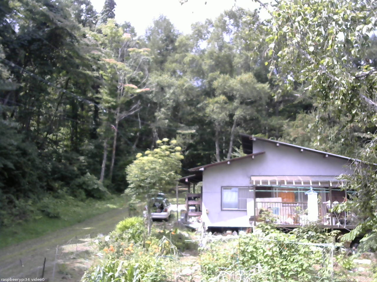 長野県菅平高原 ゆたか山荘 西側(坂上) 2026/08/19 11:00
