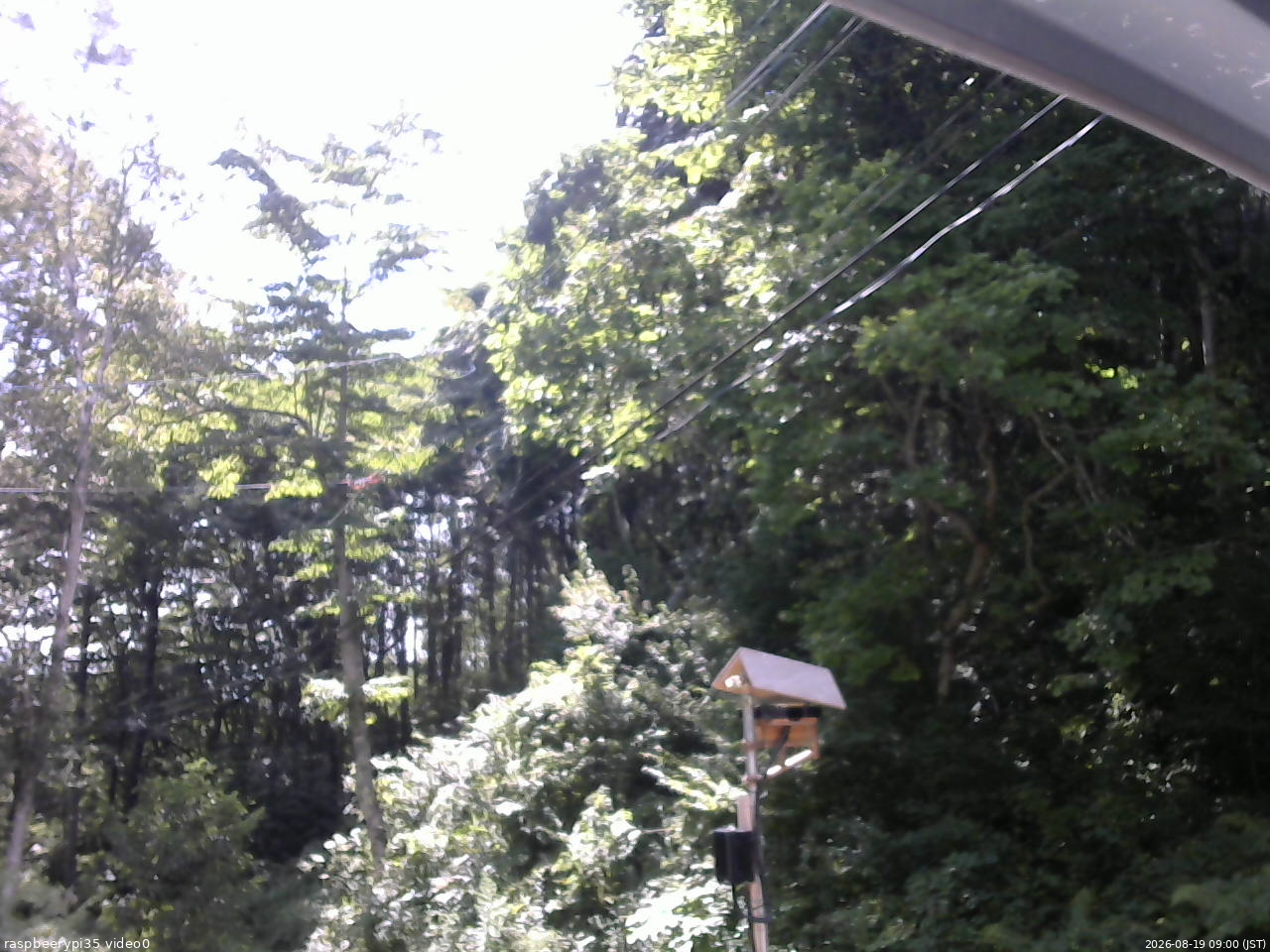 長野県菅平高原 ゆたか山荘 温度計 2026/08/19 09:00