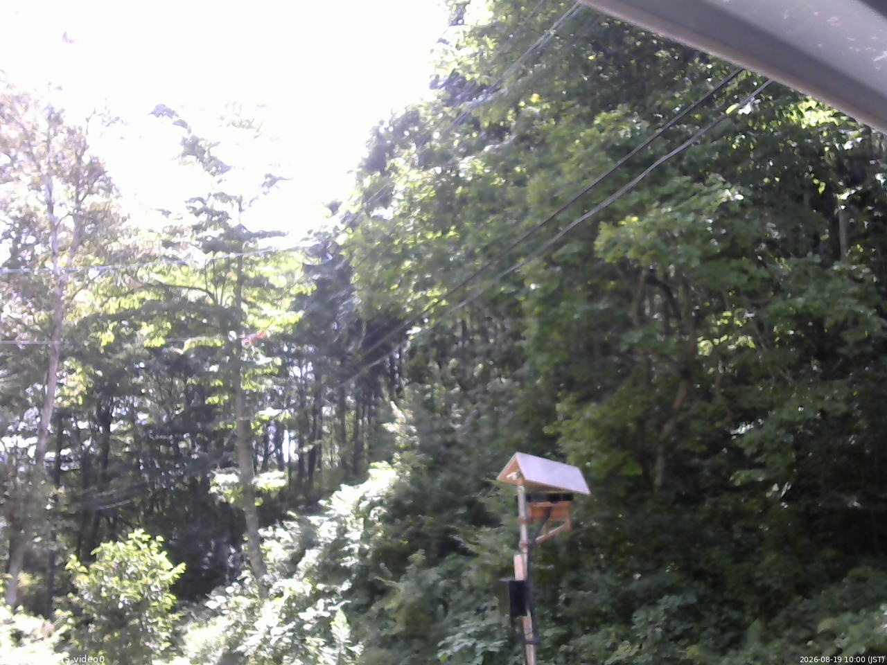 長野県菅平高原 ゆたか山荘 温度計 2026/08/19 10:00