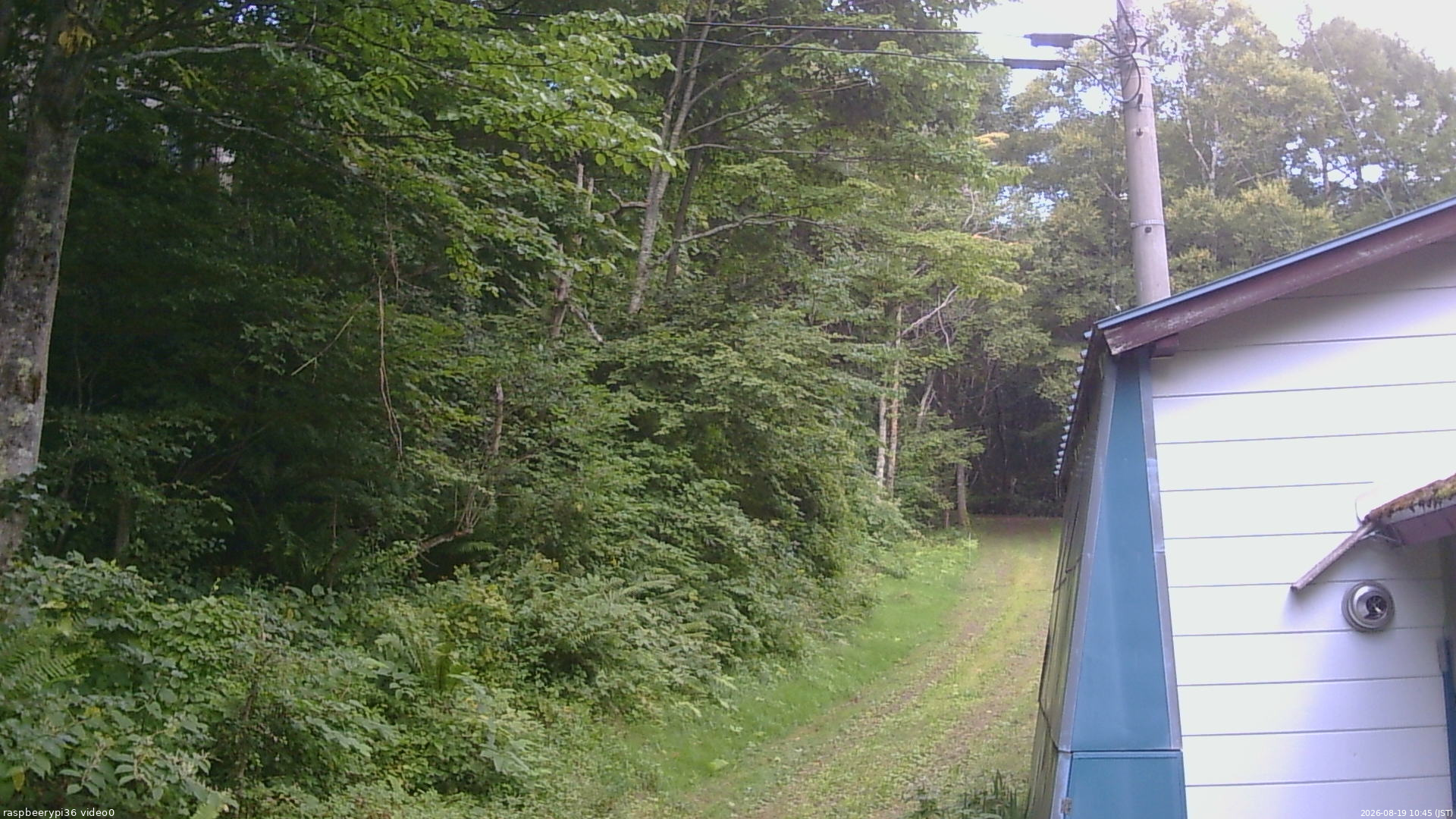 長野県菅平高原 ゆたか山荘 ゆたか山荘 2026/08/19 10:45