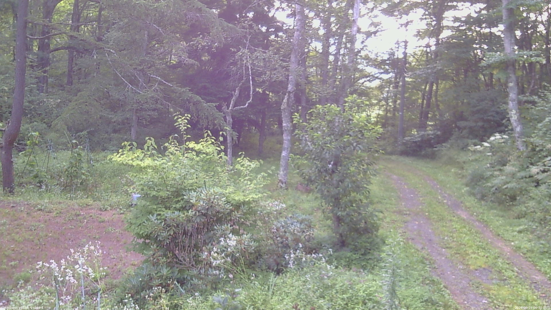 長野県菅平高原 ゆたか山荘 坂上 2026/08/19 06:30
