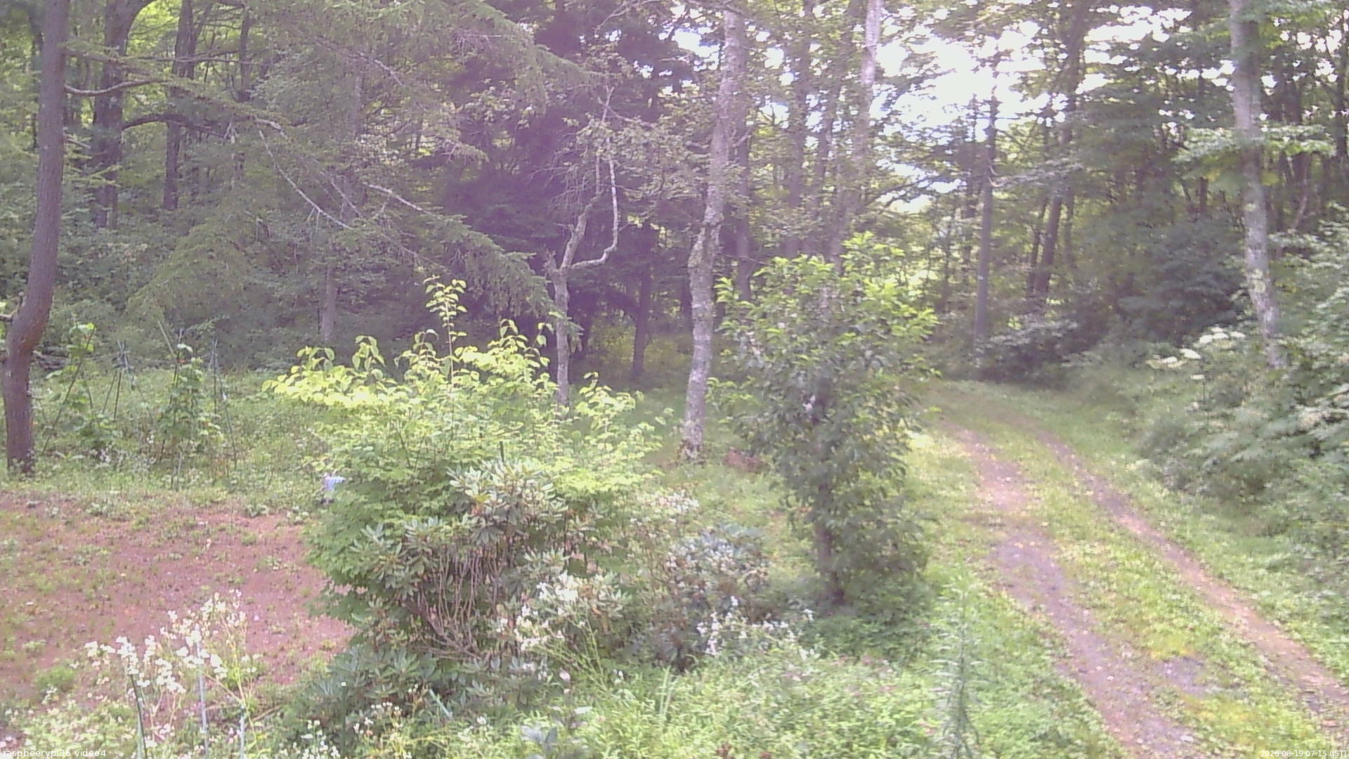 長野県菅平高原 ゆたか山荘 坂上 2026/08/19 07:15