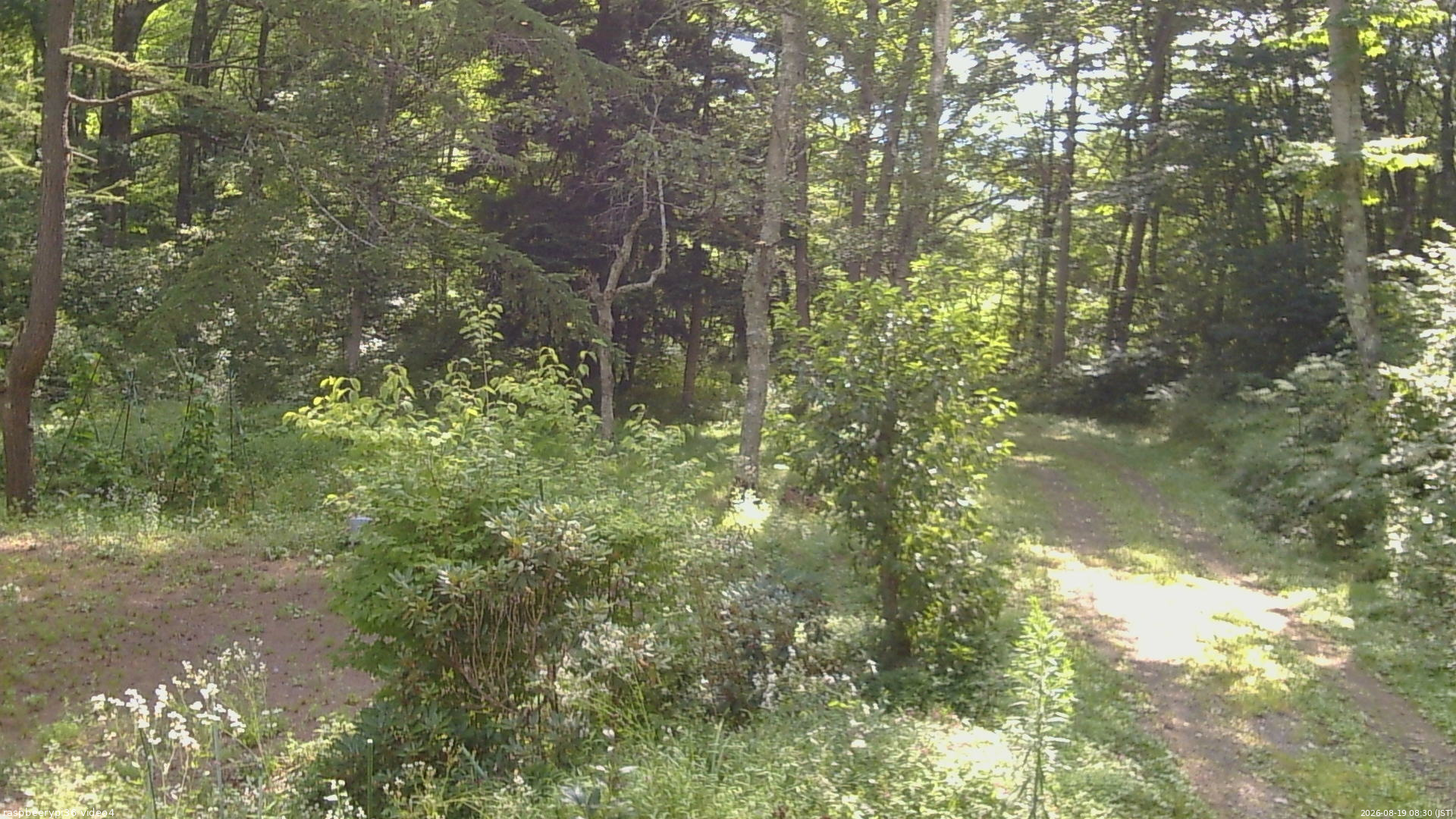 長野県菅平高原 ゆたか山荘 坂上 2026/08/19 08:30