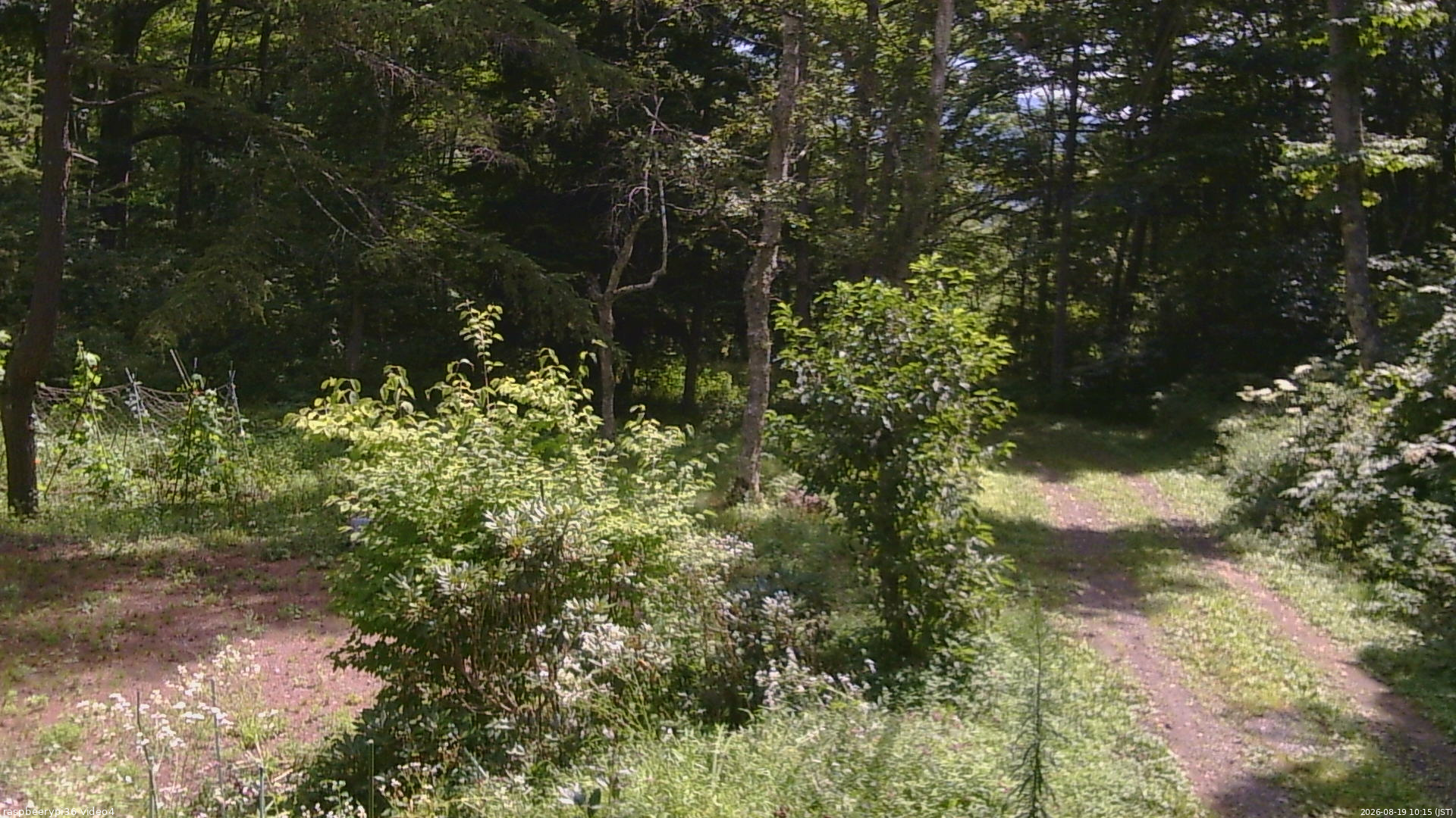 長野県菅平高原 ゆたか山荘 坂上 2026/08/19 10:15