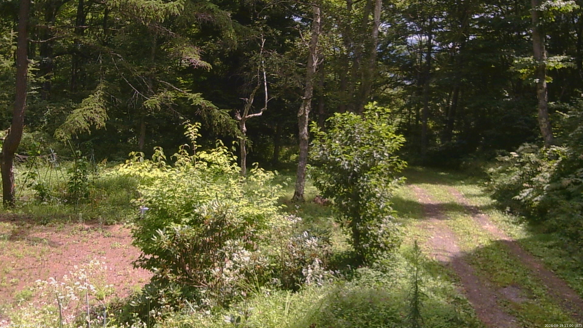 長野県菅平高原 ゆたか山荘 坂上 2026/08/19 11:00