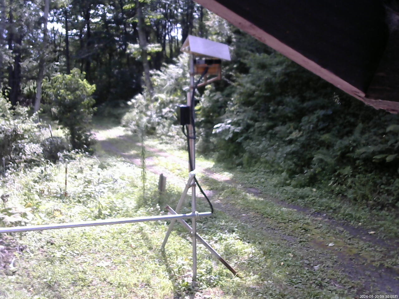 長野県菅平高原 ゆたか山荘 南側 2026/08/20 09:30