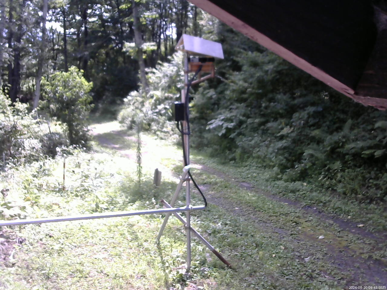 長野県菅平高原 ゆたか山荘 南側 2026/08/20 09:45