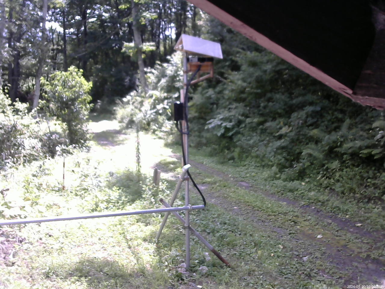 長野県菅平高原 ゆたか山荘 南側 2026/08/20 10:00