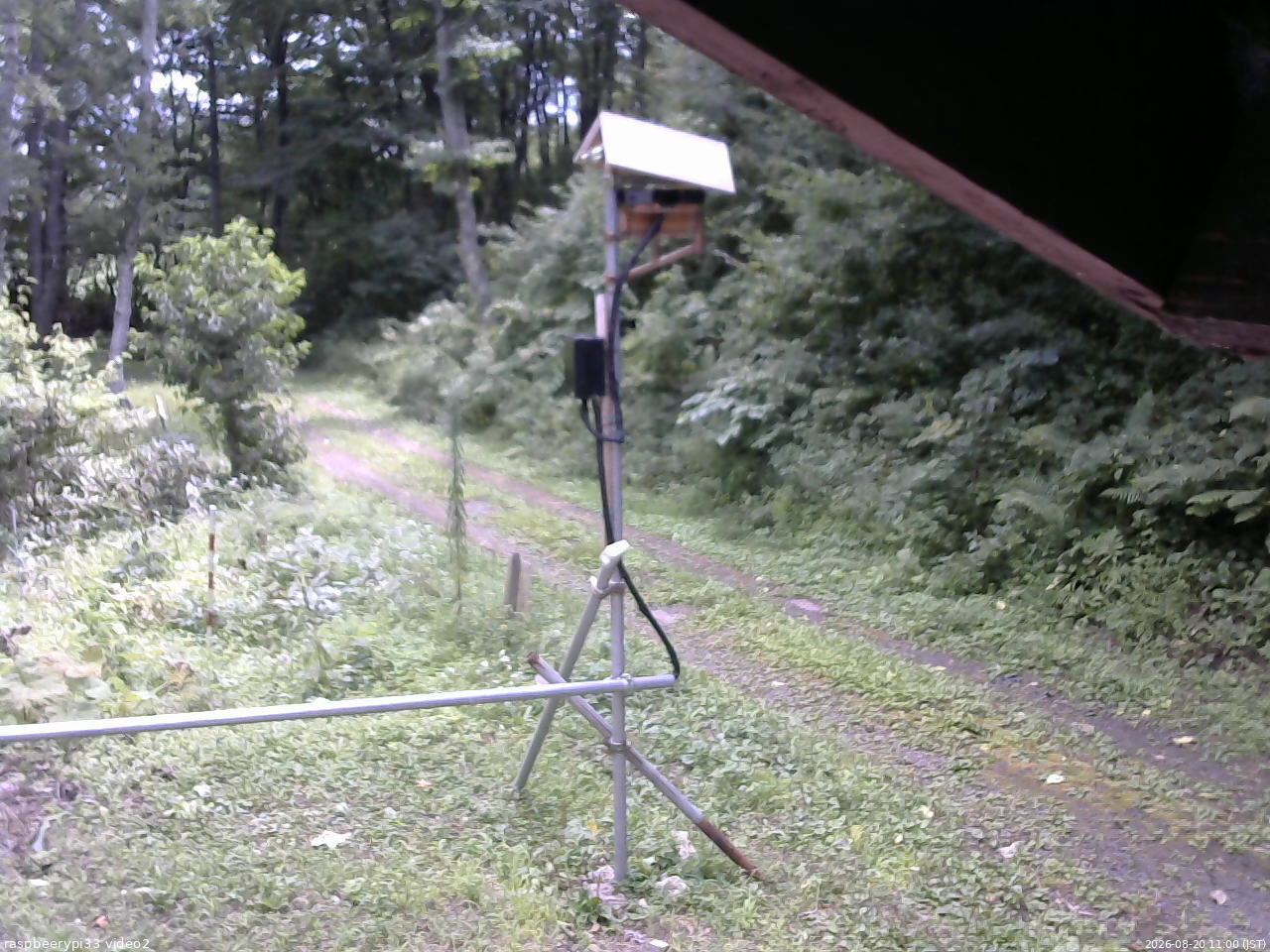 長野県菅平高原 ゆたか山荘 南側 2026/08/20 11:00