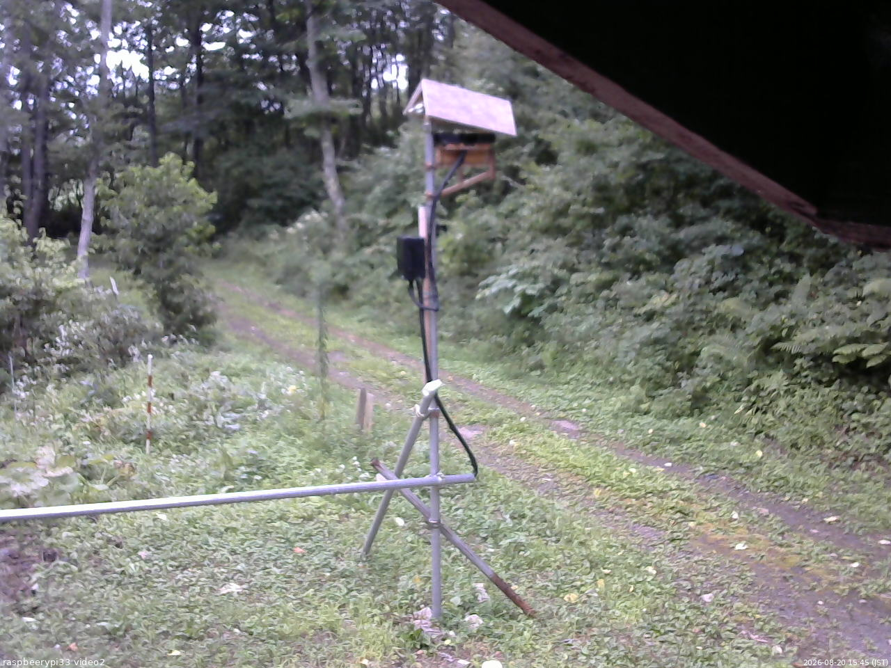 長野県菅平高原 ゆたか山荘 南側 2026/08/20 15:45
