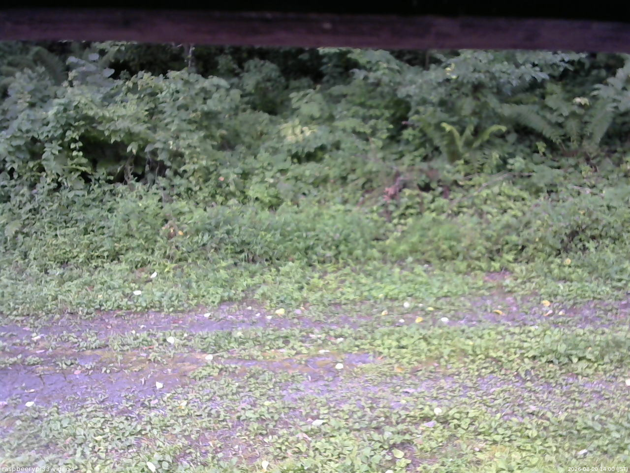長野県菅平高原 ゆたか山荘 東側(坂下) 2026/08/20 14:00