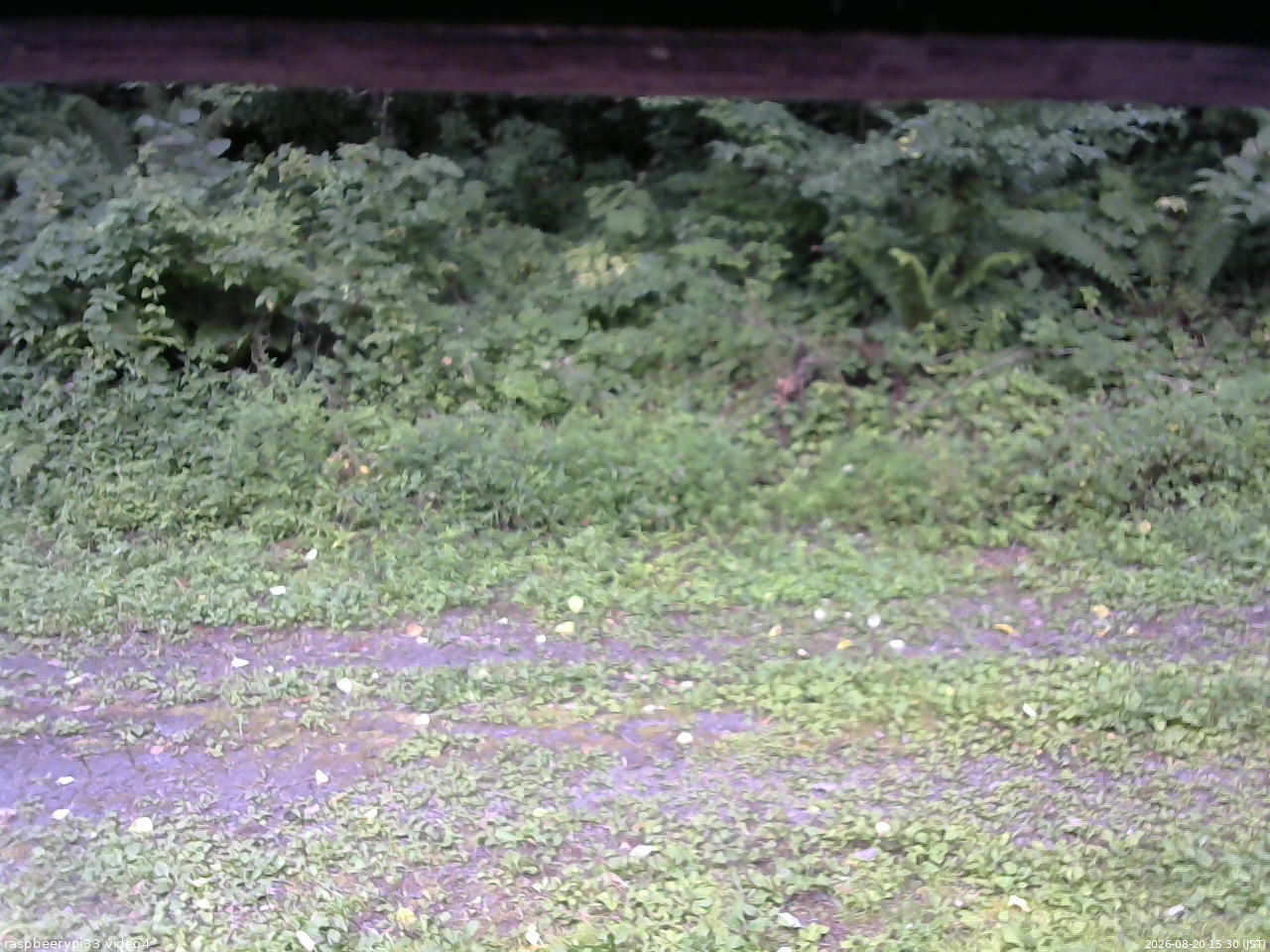 長野県菅平高原 ゆたか山荘 東側(坂下) 2026/08/20 15:30