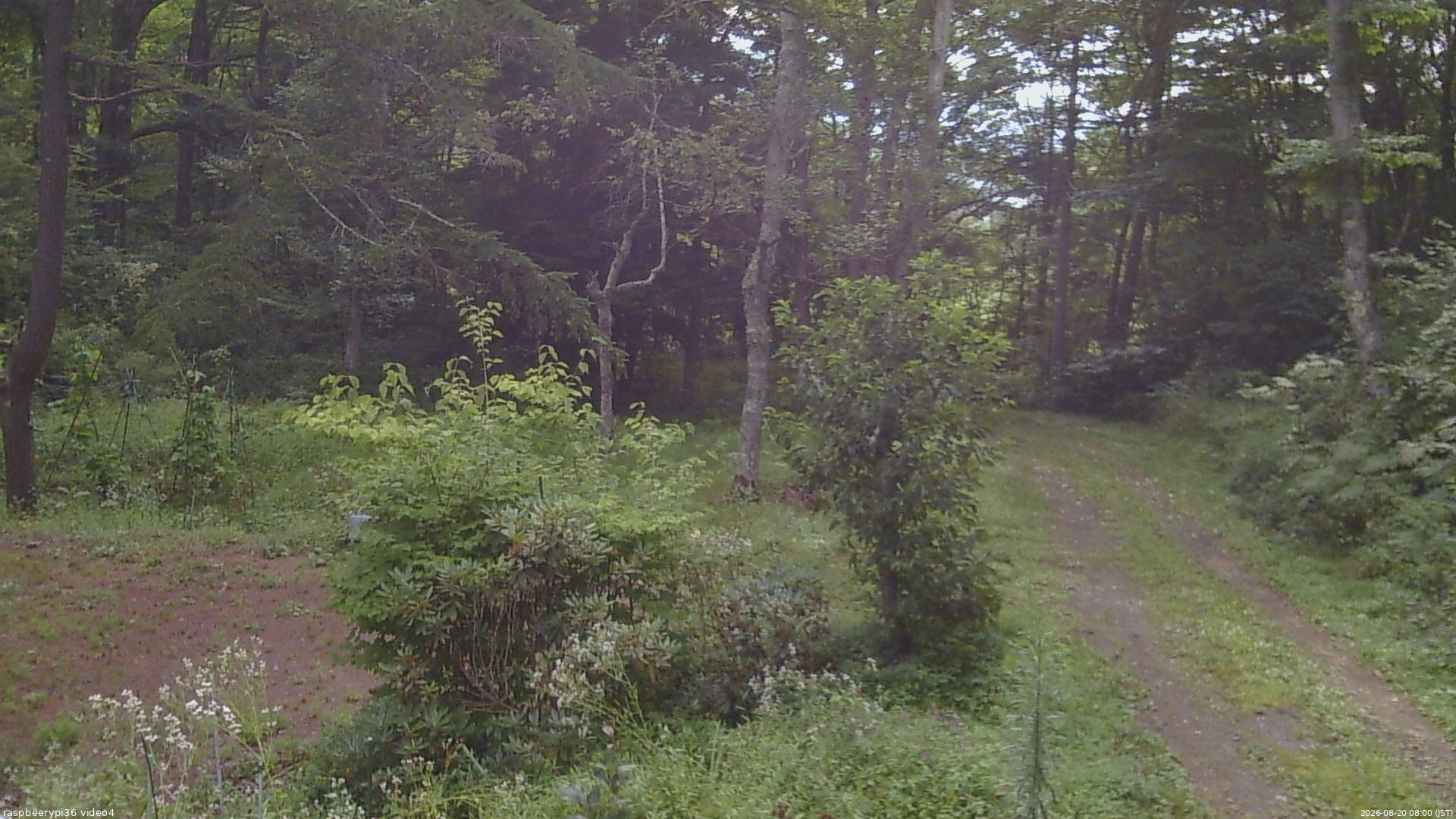 長野県菅平高原 ゆたか山荘 坂上 2026/08/20 08:00