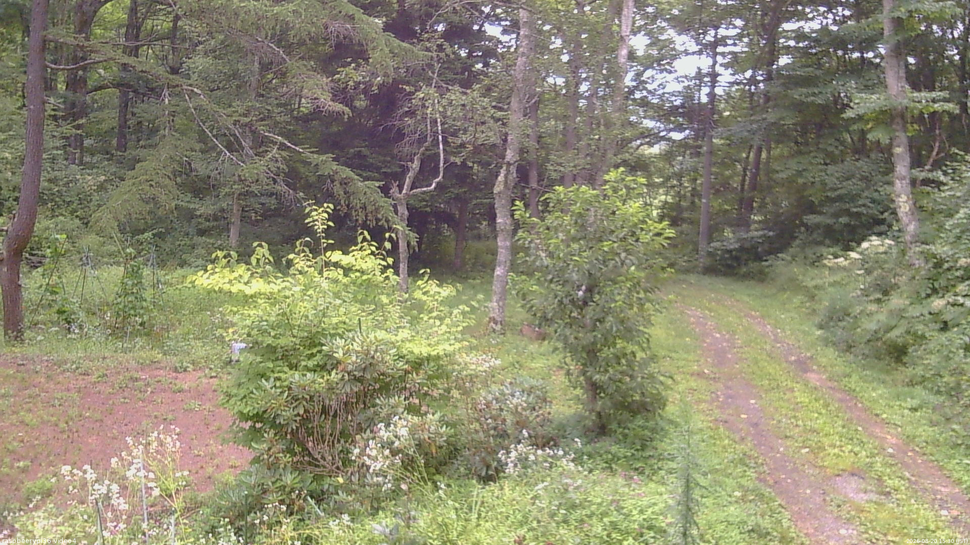 長野県菅平高原 ゆたか山荘 坂上 2026/08/20 15:30