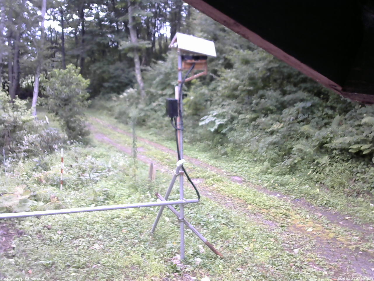 長野県菅平高原 ゆたか山荘 南側 2026/08/21 07:30