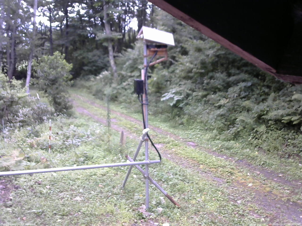 長野県菅平高原 ゆたか山荘 南側 2026/08/21 08:00