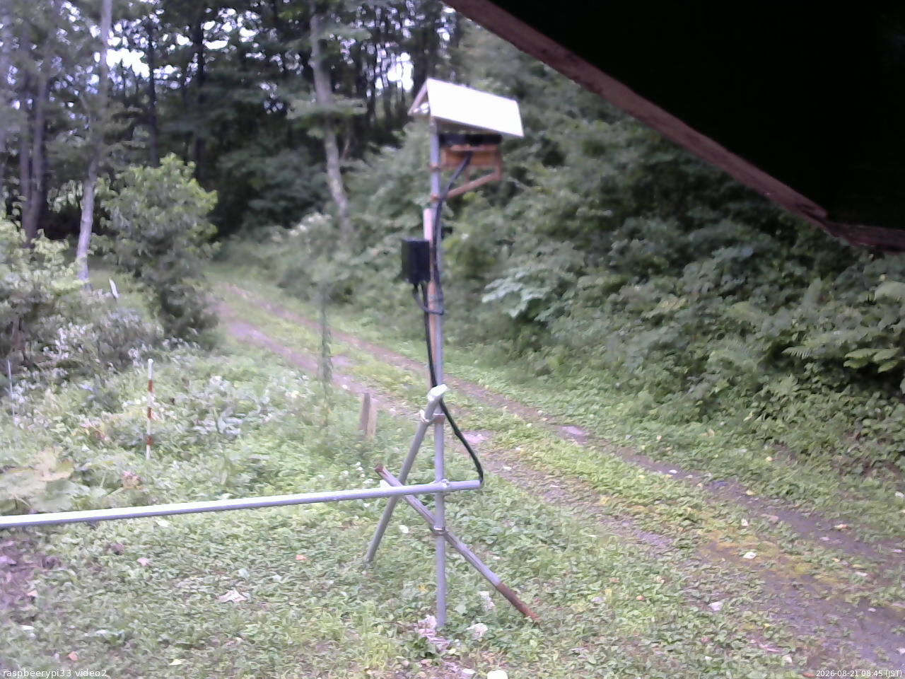 長野県菅平高原 ゆたか山荘 南側 2026/08/21 08:45