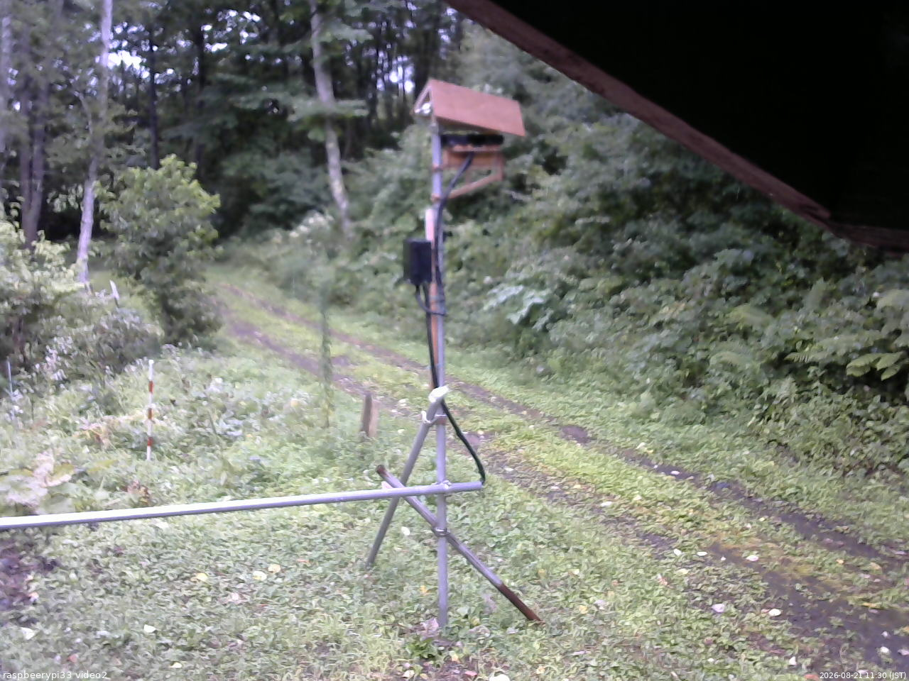 長野県菅平高原 ゆたか山荘 南側 2026/08/21 11:30