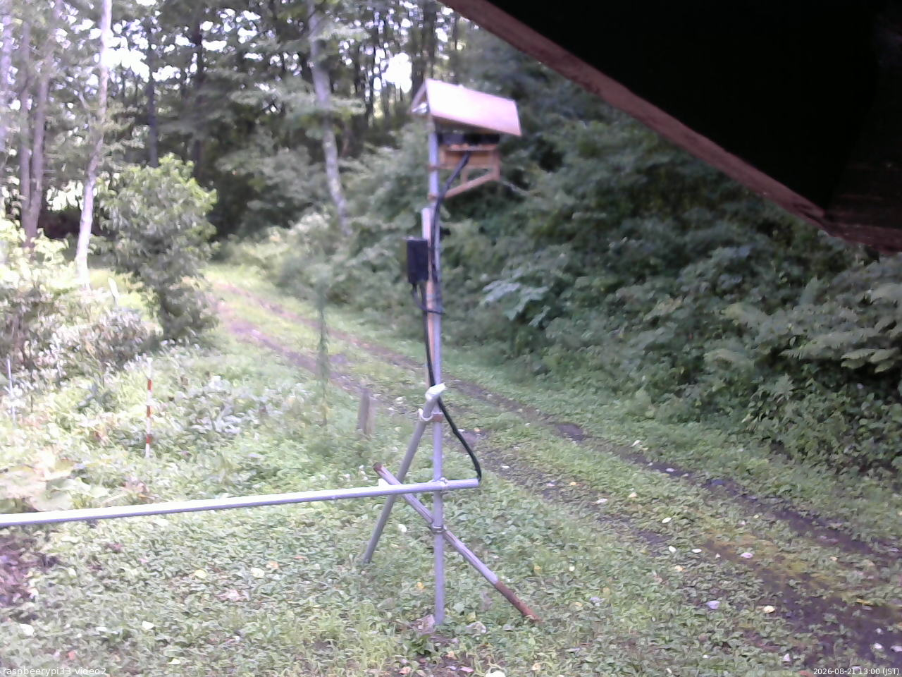 長野県菅平高原 ゆたか山荘 南側 2026/08/21 13:00
