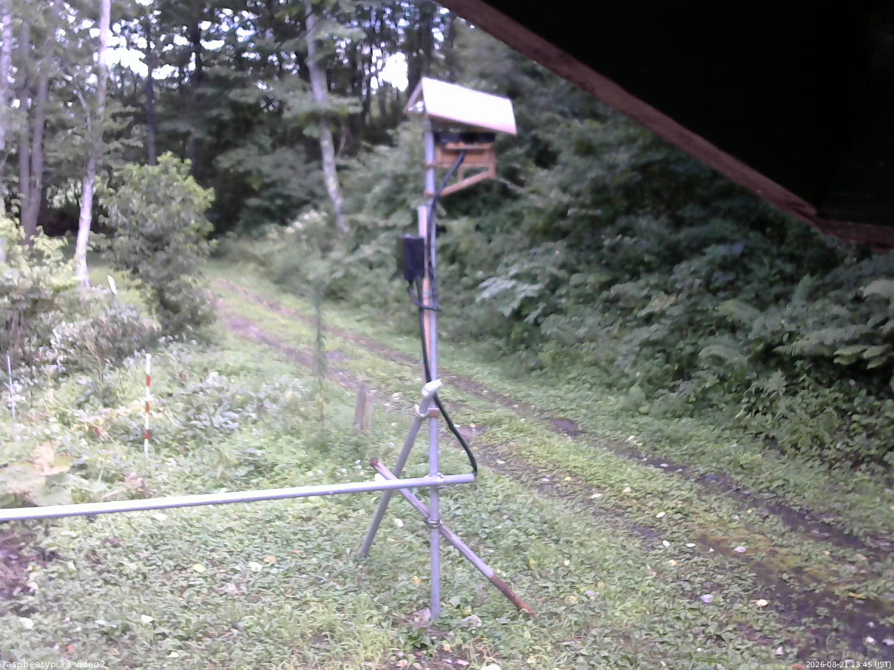長野県菅平高原 ゆたか山荘 南側 2026/08/21 13:45