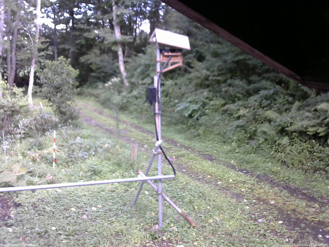 長野県菅平高原 ゆたか山荘 南側 2026/08/21 14:00