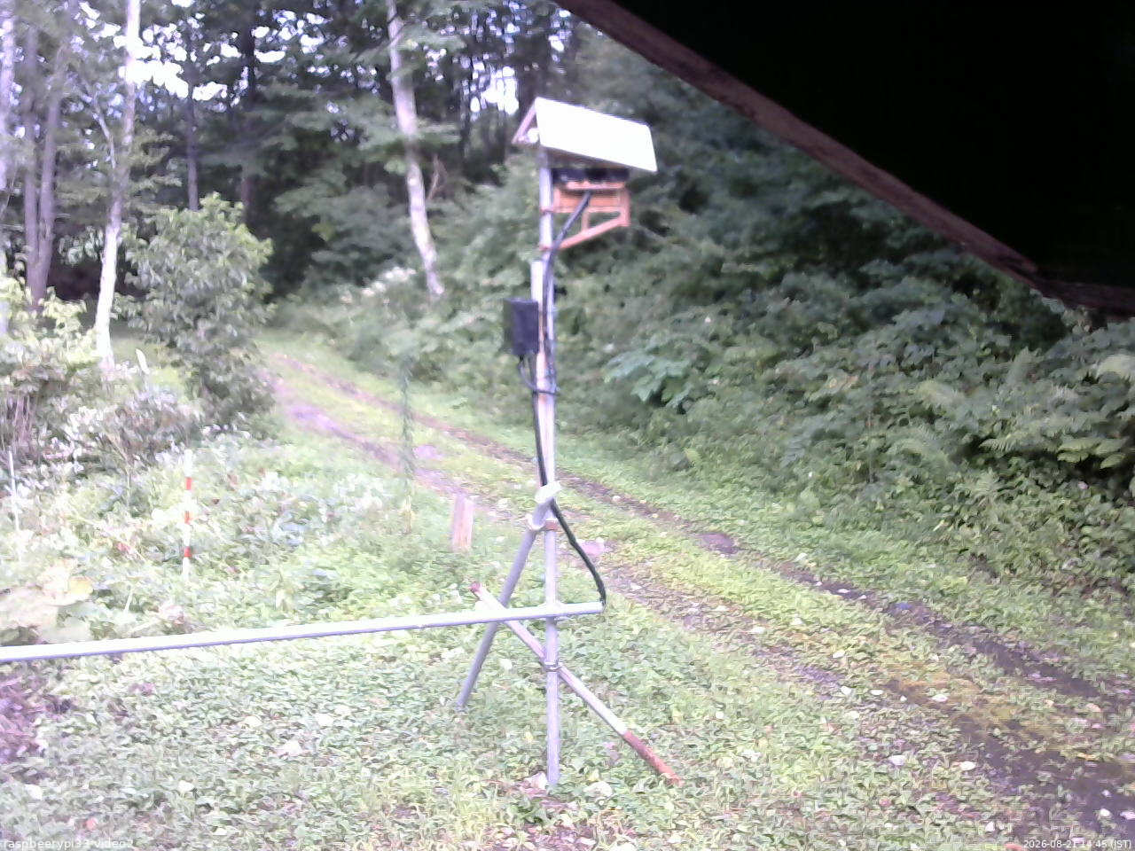 長野県菅平高原 ゆたか山荘 南側 2026/08/21 14:45