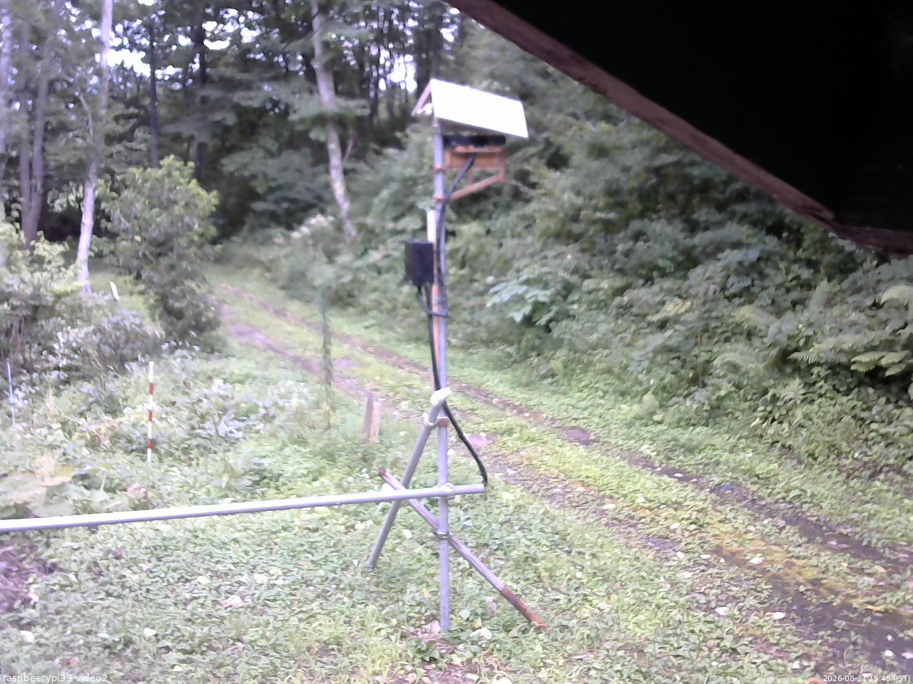 長野県菅平高原 ゆたか山荘 南側 2026/08/21 15:45