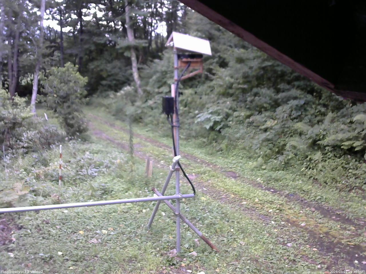 長野県菅平高原 ゆたか山荘 南側 2026/08/21 16:30