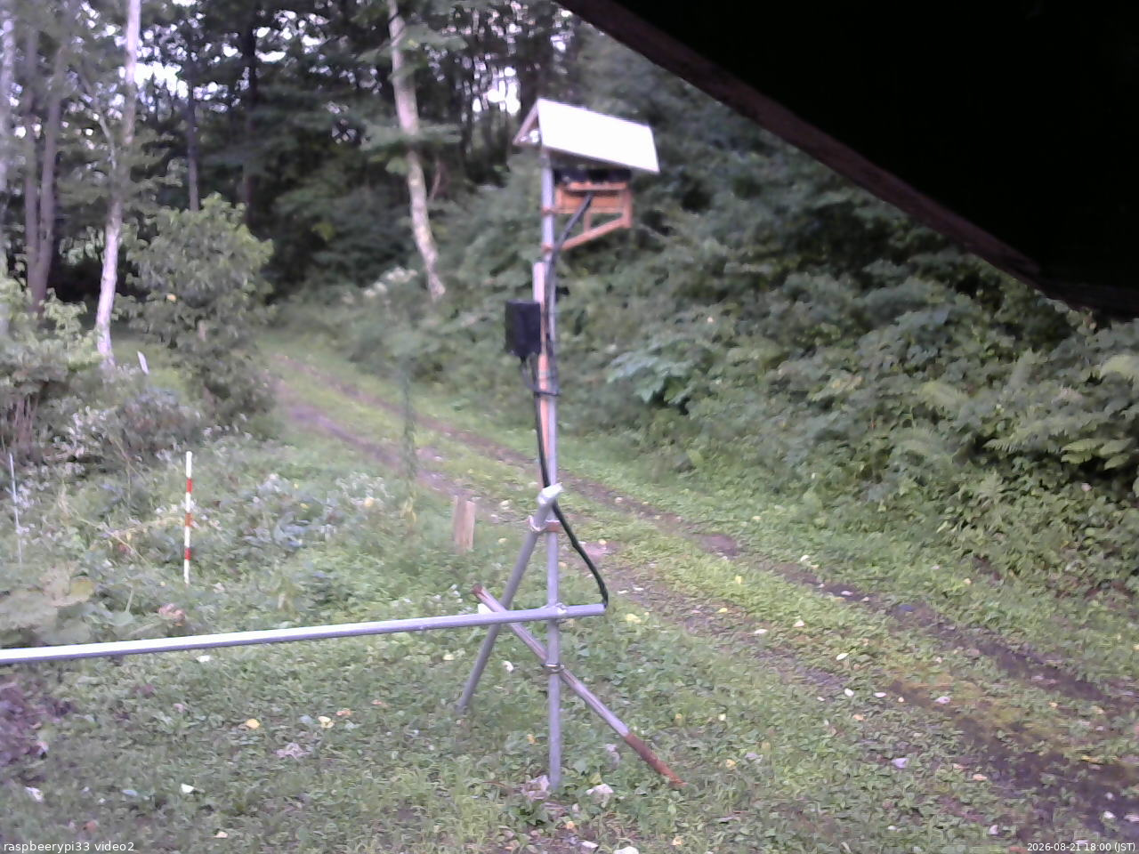 長野県菅平高原 ゆたか山荘 南側 2026/08/21 18:00