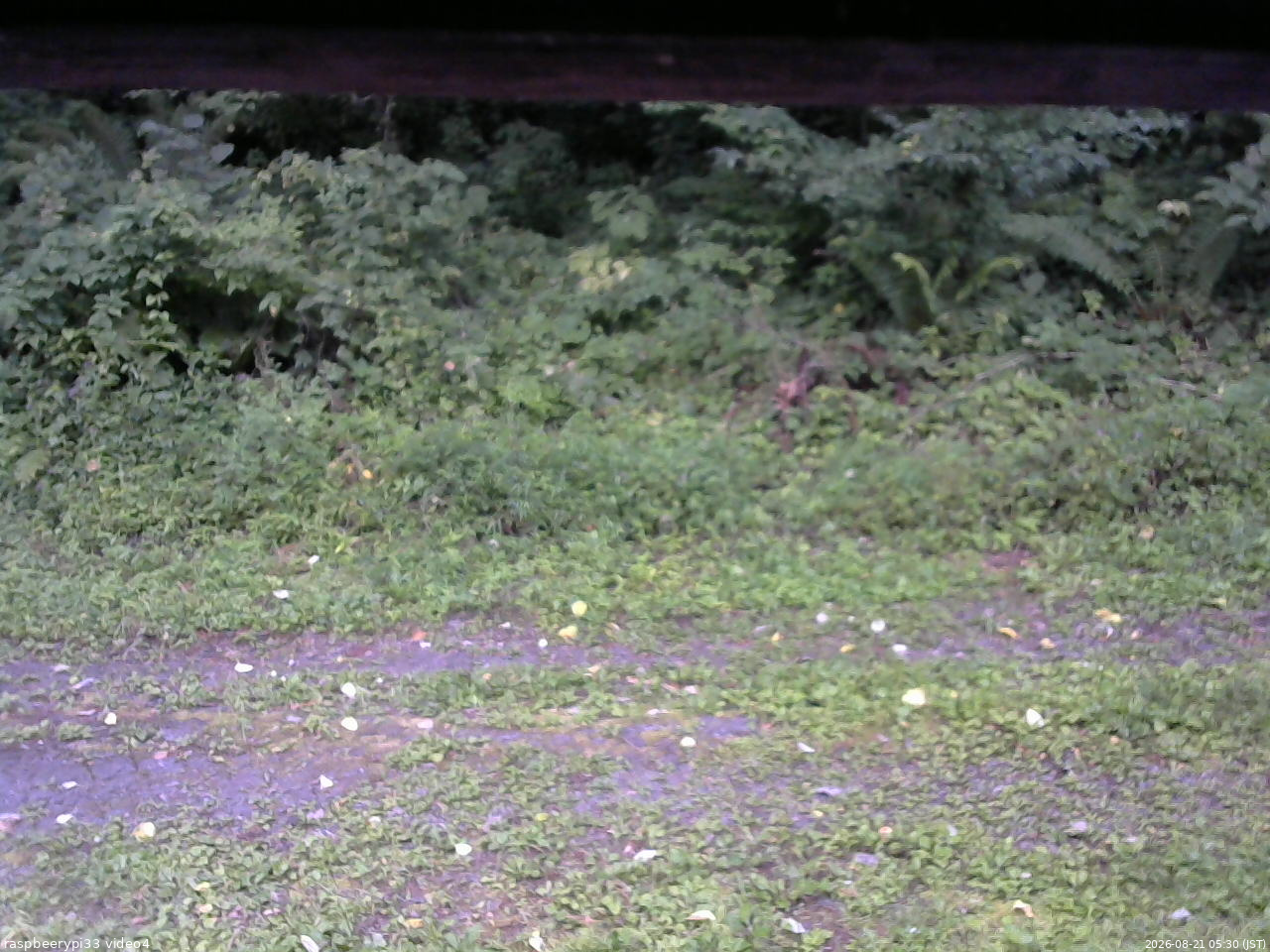 長野県菅平高原 ゆたか山荘 東側(坂下) 2026/08/21 05:30