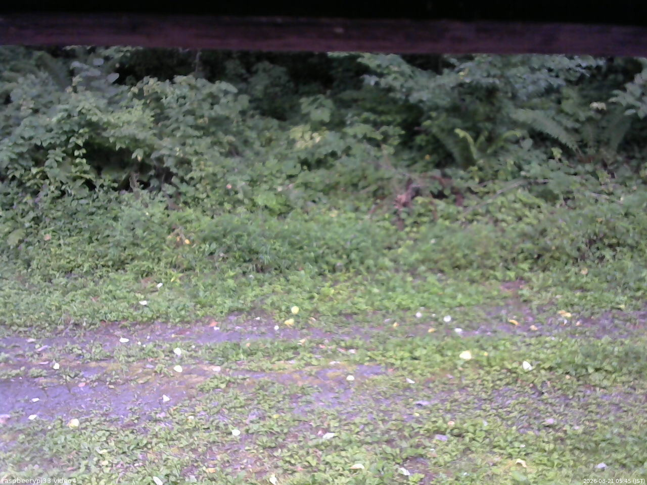 長野県菅平高原 ゆたか山荘 東側(坂下) 2026/08/21 05:45
