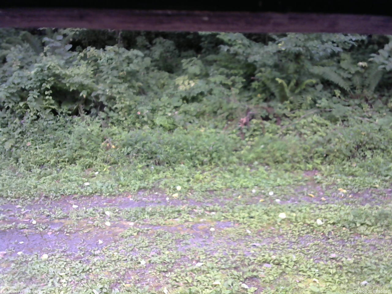 長野県菅平高原 ゆたか山荘 東側(坂下) 2026/08/21 07:30