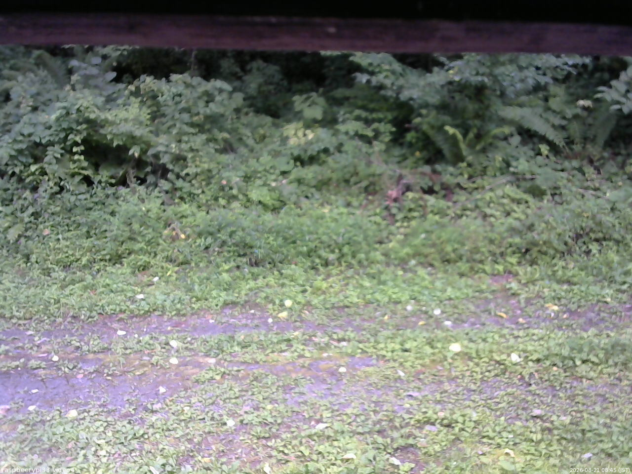長野県菅平高原 ゆたか山荘 東側(坂下) 2026/08/21 08:45