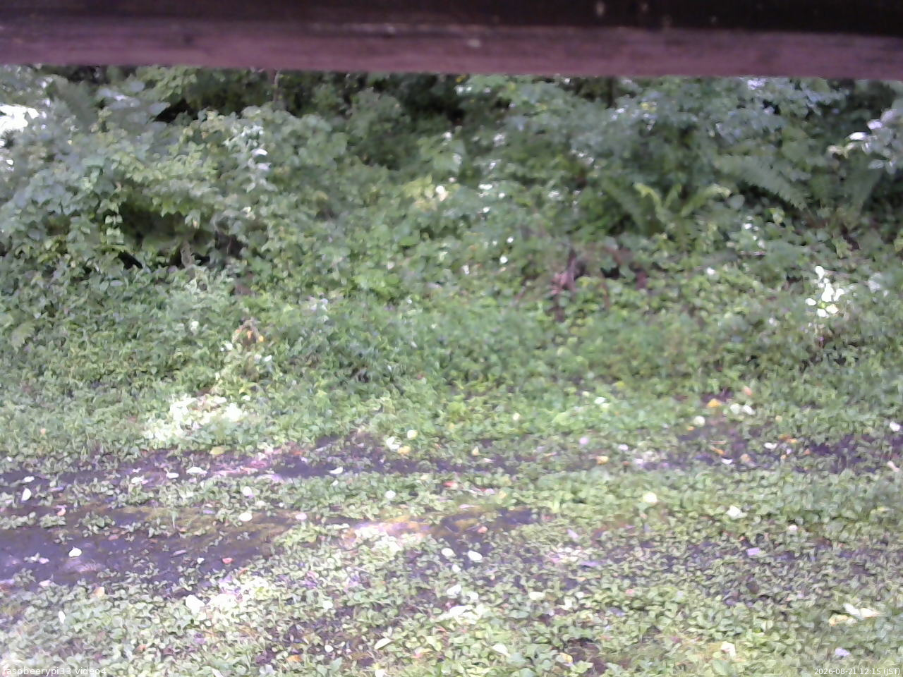 長野県菅平高原 ゆたか山荘 東側(坂下) 2026/08/21 12:15