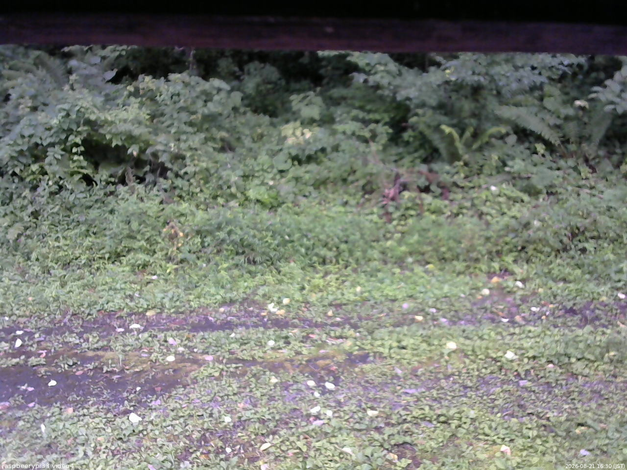 長野県菅平高原 ゆたか山荘 東側(坂下) 2026/08/21 16:30