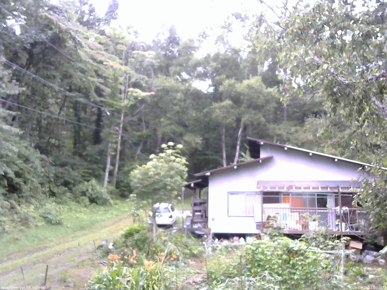 長野県菅平高原 ゆたか山荘 西側(坂上) 2026/08/21 11:00