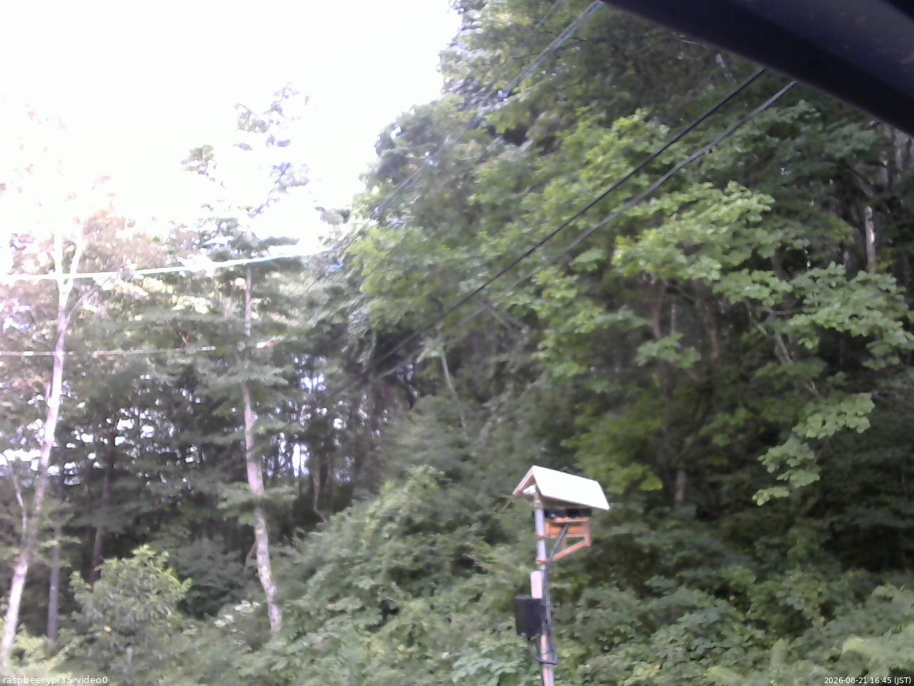 長野県菅平高原 ゆたか山荘 温度計 2026/08/21 16:45