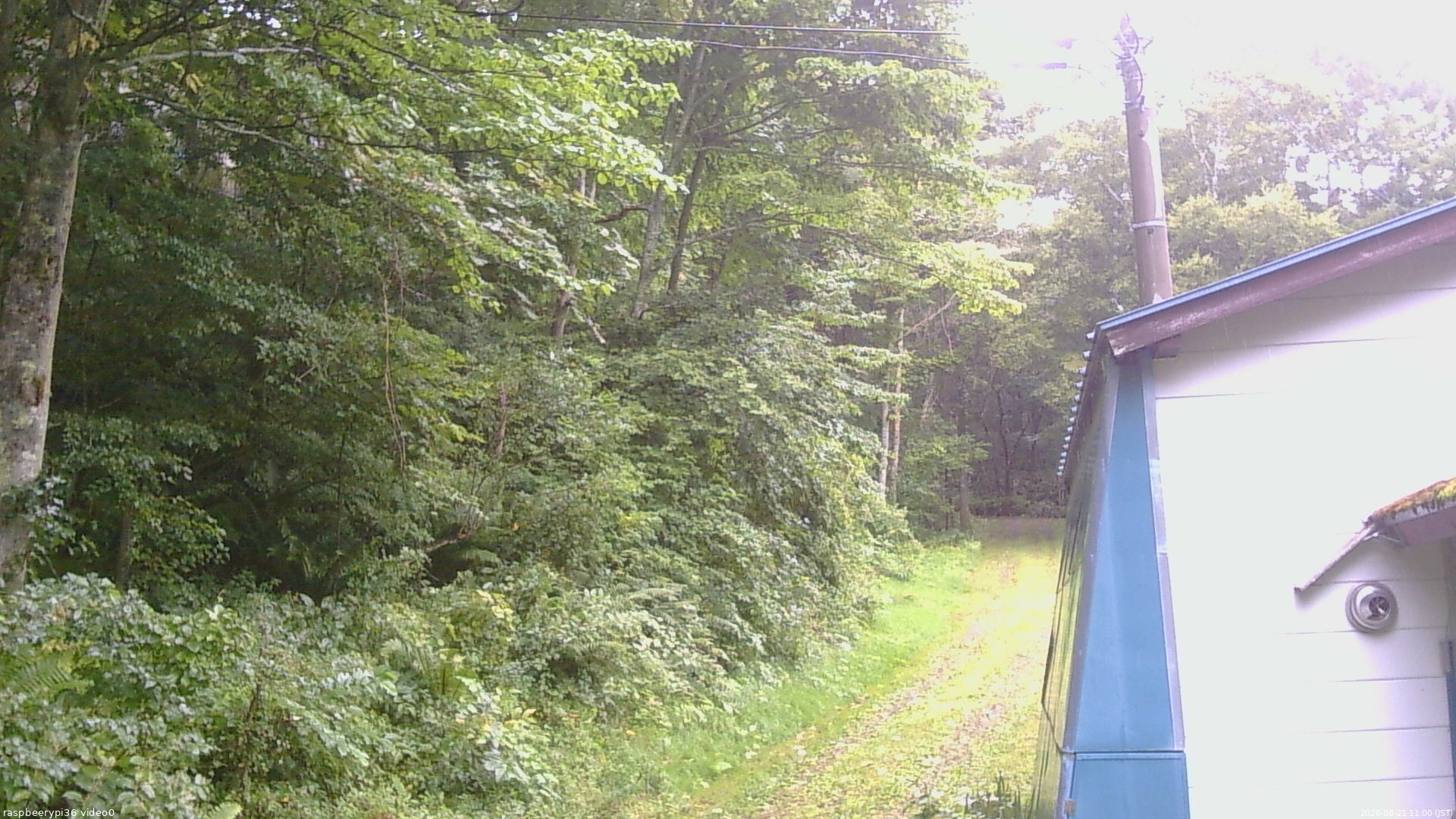 長野県菅平高原 ゆたか山荘 ゆたか山荘 2026/08/21 11:00