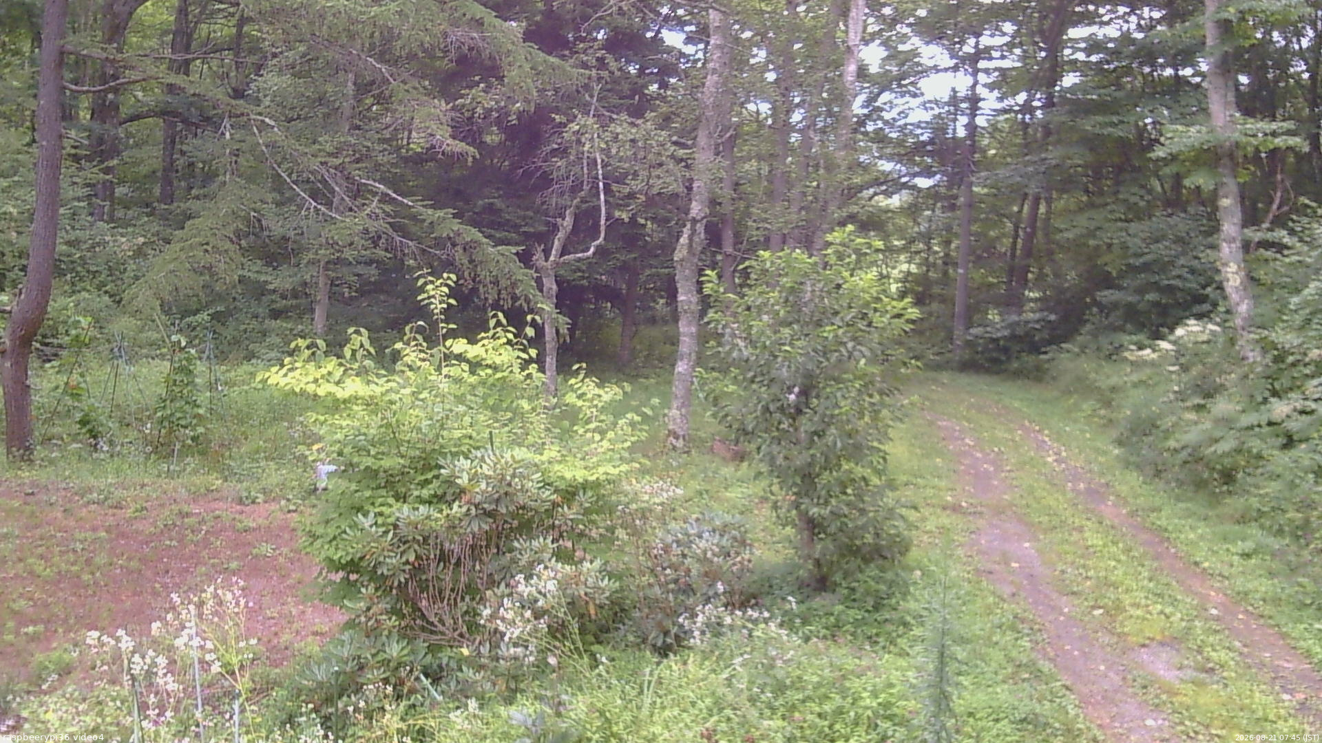 長野県菅平高原 ゆたか山荘 坂上 2026/08/21 07:45