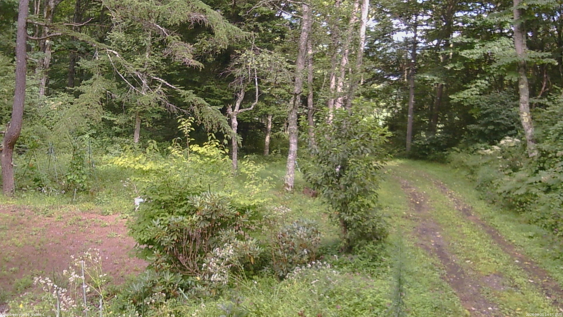 長野県菅平高原 ゆたか山荘 坂上 2026/08/21 14:15