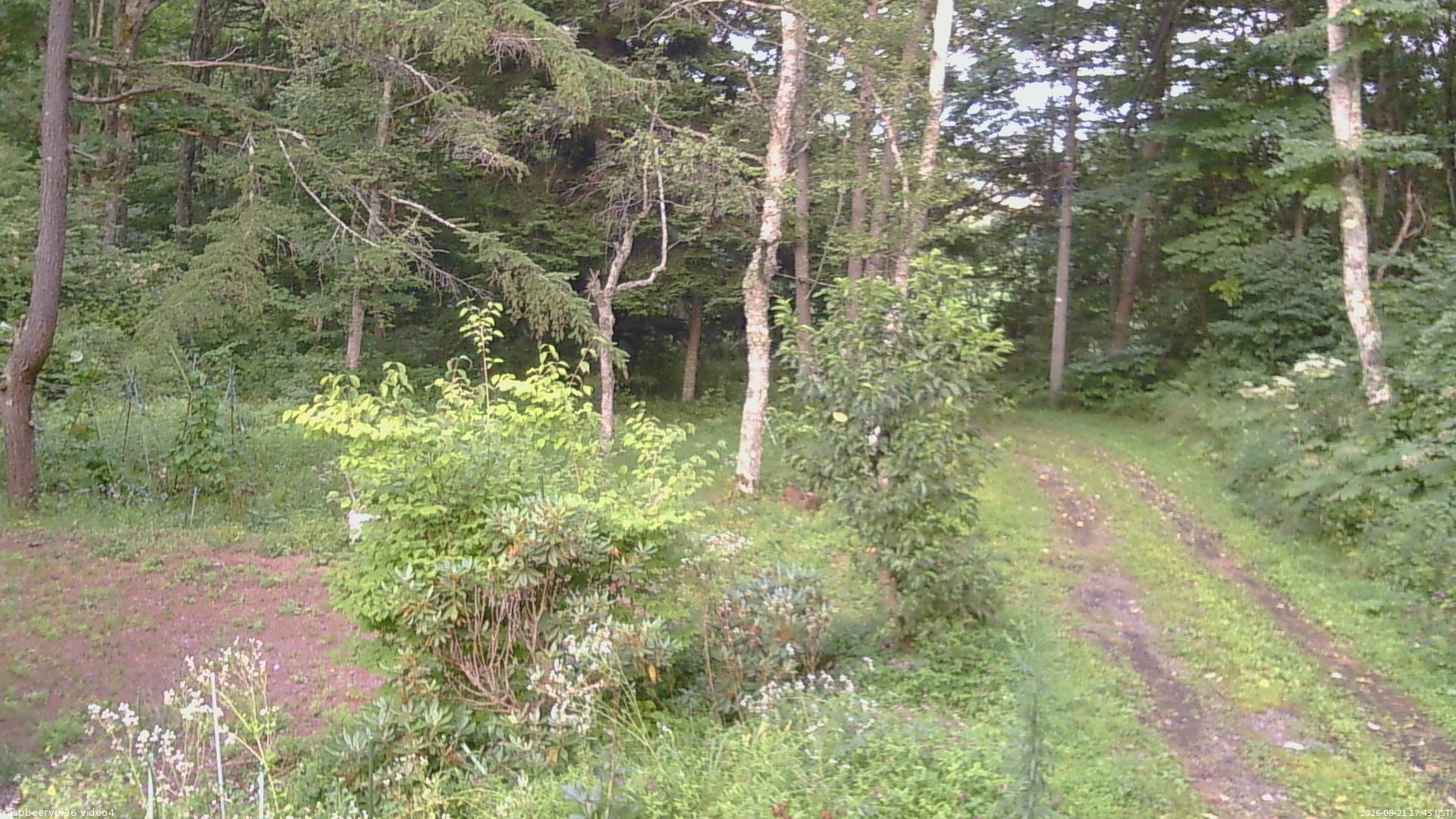 長野県菅平高原 ゆたか山荘 坂上 2026/08/21 17:45