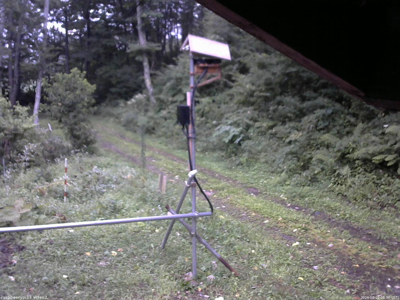 長野県菅平高原 ゆたか山荘 南側 2026/08/22 05:30