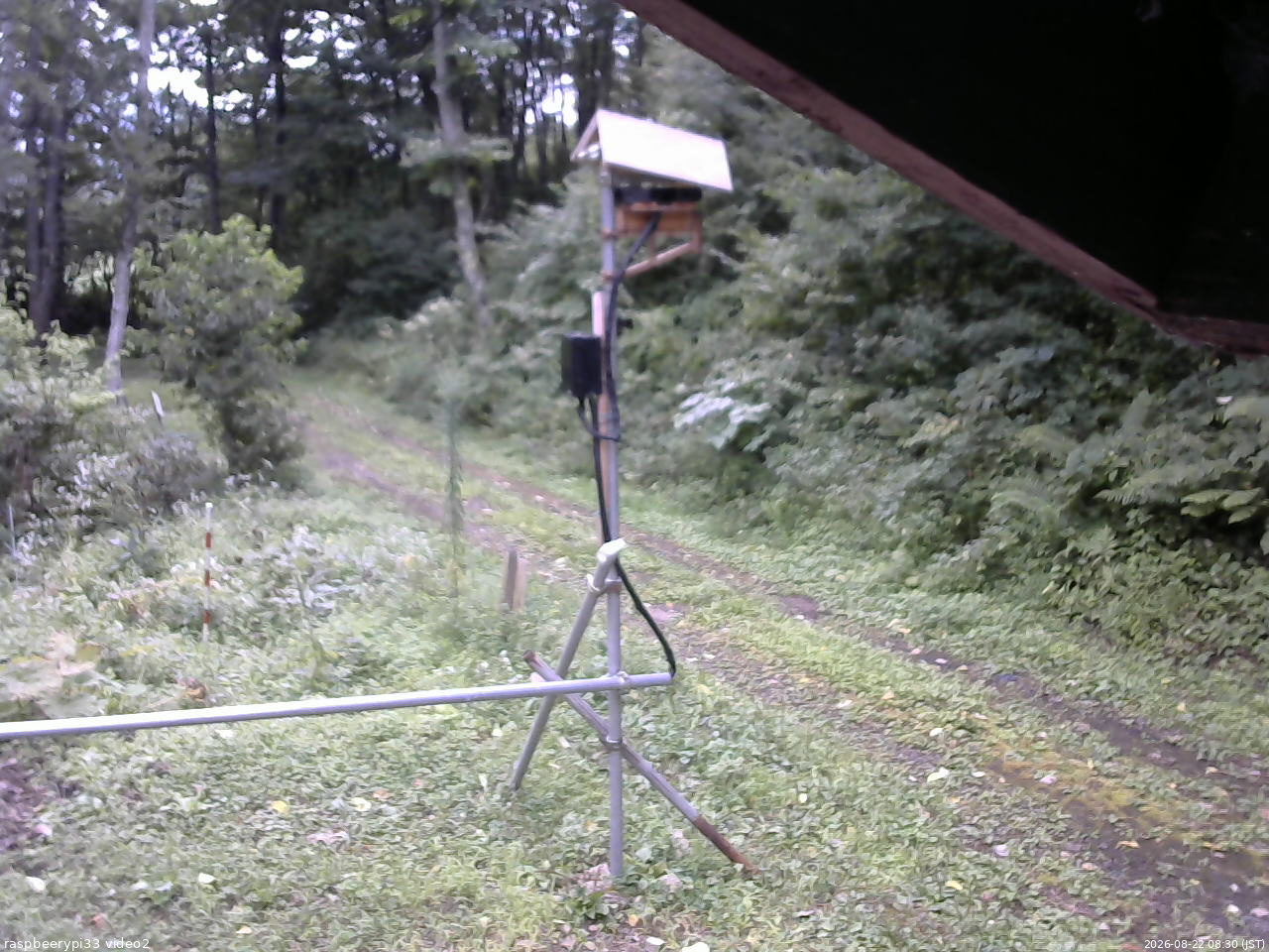 長野県菅平高原 ゆたか山荘 南側 2026/08/22 08:30